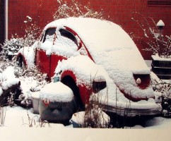 im kleefeld: image 2 0f 4 thumb